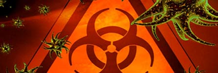  Компьютерный вирус «Эбола» заблакировал работу 13 организаций в Зауралье 