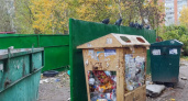 Курганцы жалуются на грызунов и птиц