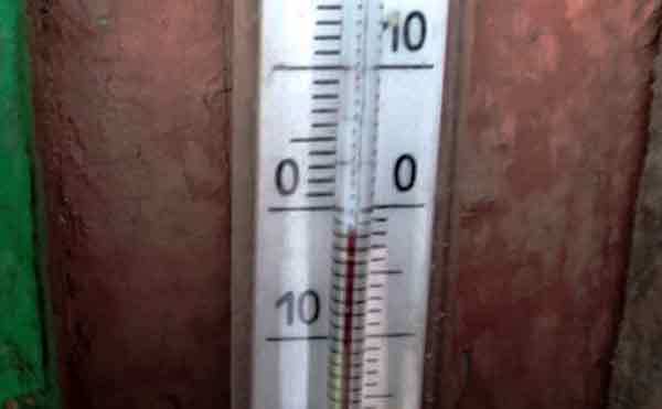 Жителей Курганской области предупреждают о ночных заморозках