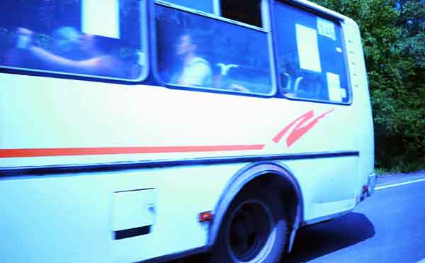 В Курганской области полиция проверит междугородние автобусы