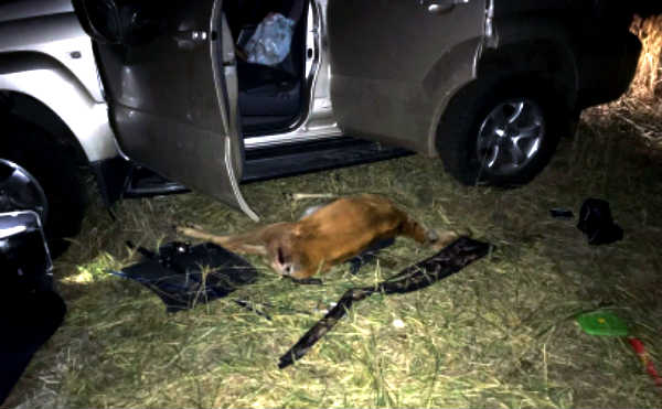 В Курганской области один машина браконьеров перевернулась в лесу. Один человек погиб.