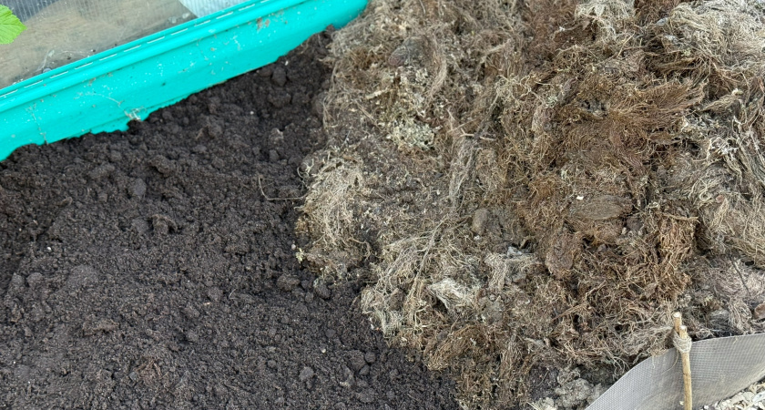 Не делайте из дачи «Чернобыль»: 5 причин, почему осенью нельзя применять это популярное дешёвое средство