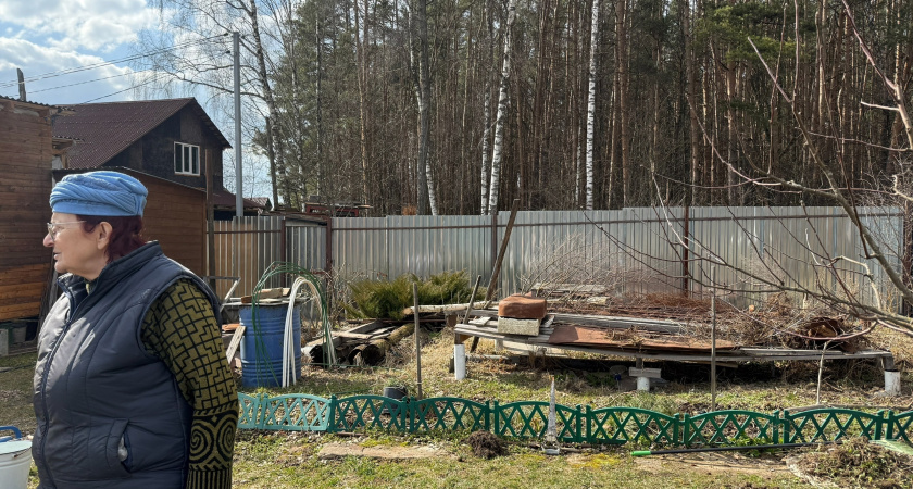 Жуки-вредители проиграли битву со мной: пару ложек средства на почву в октябре и в следующем году земля как пух - и никаких слизней и мошек