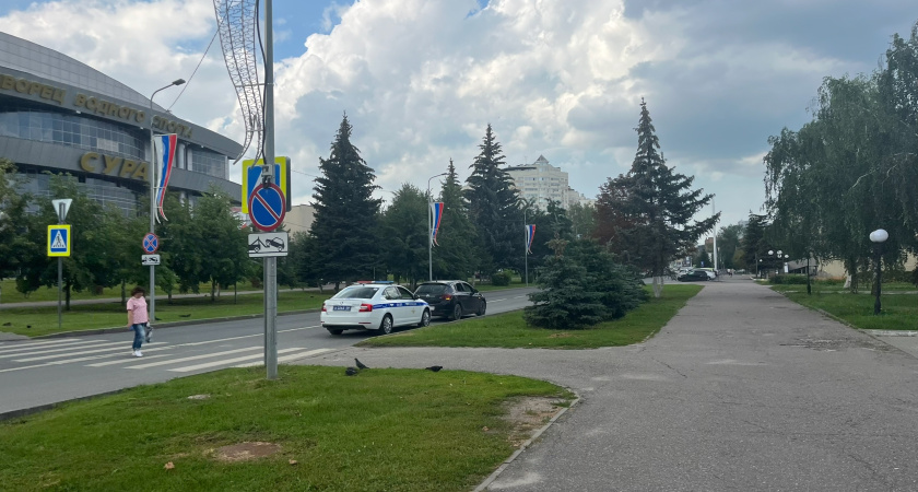 На новом участке улицы Алексеева в Кургане появились первые деревья