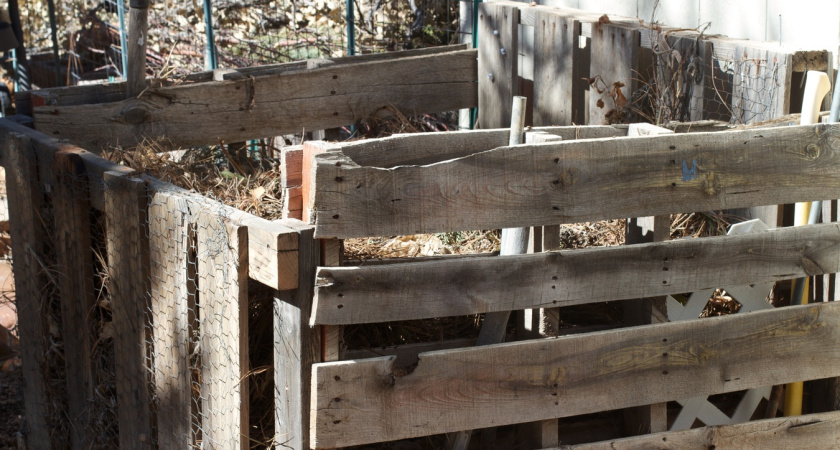 Даже кости перегниют: поливаю этим раствором компостную кучу в октябре - весной компост жирнее чернозема