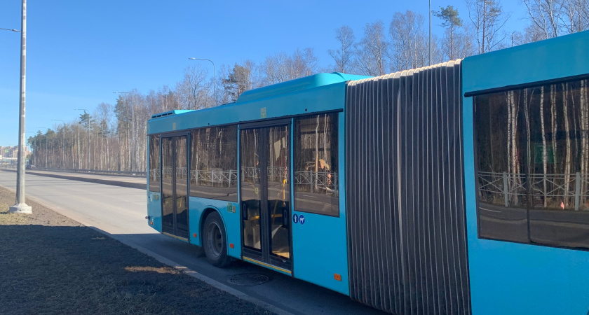 В Шадринске автобусы поедут по новому маршруту