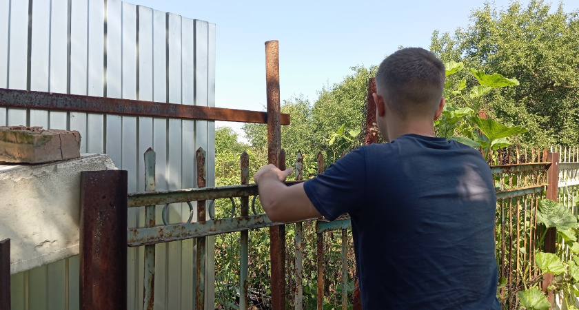 Пенопласт больше не выбрасываю: делаю из него лак и покрываю дерево, даже ливнями не размочит - мой хитрый трюк