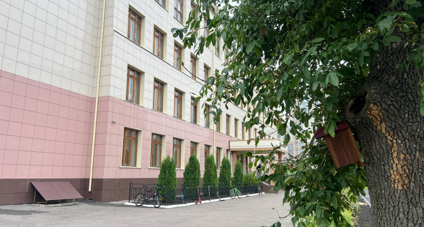 Охранник в курганской гимназии случайно распылил перцовку