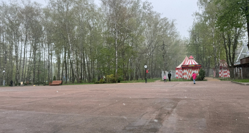 Первый снег может прийти в Зауралье уже в эти выходные