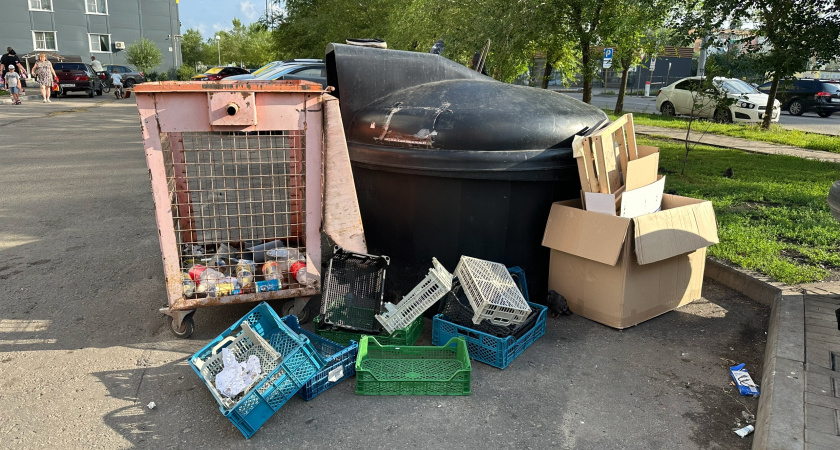 В Кургане советуют звать участкового, если жители выкидывают мусор из окон