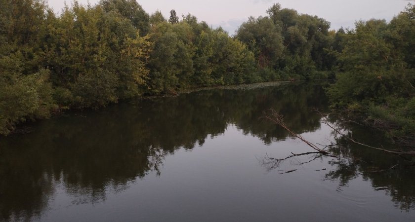 В Кургане в реке Тобол нашли тело мужчины
