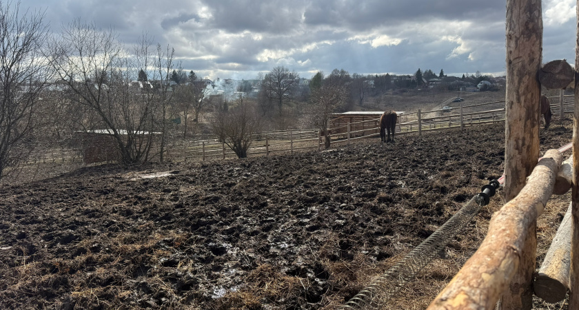 В Курганской области в сельскохозяйственный оборот ввели новые земли