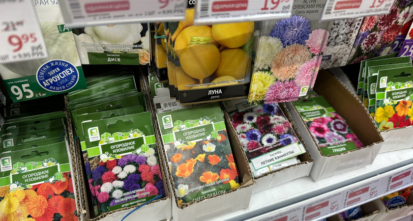 Многие дачники покупают семена неправильно: правило трёх «П»  на упаковке для выбора семян - моя смекалка меня никогда не подводит