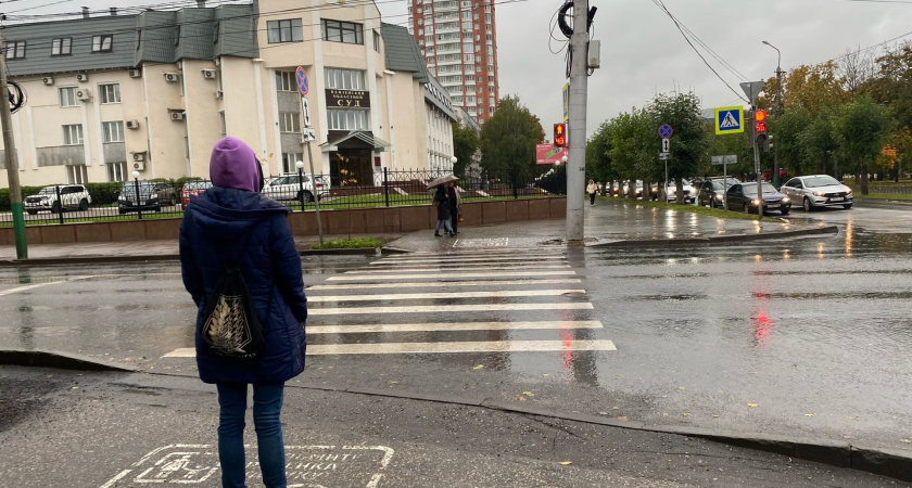 Одного шага на "зебру" теперь мало: Верховный суд поставил точку в вопросе - нужно ли водителю ждать, пока пешеход полностью перейдёт дорогу