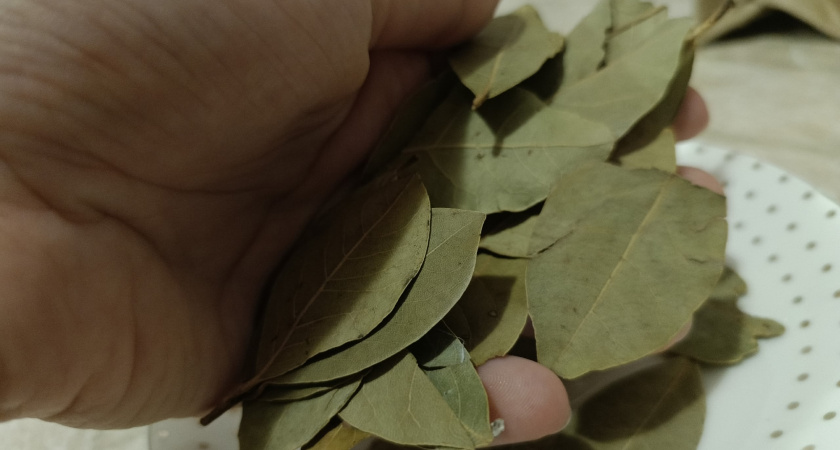 Зачем кладут умные хозяйки кладут лавровый лист под подушку: дело тут совсем не в аромате - простая хитрость