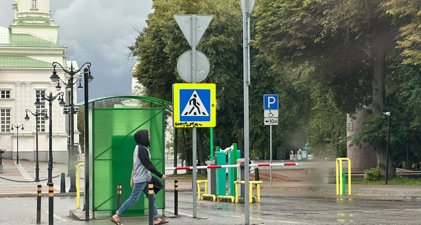 Курганцев на этой неделе ждет прохладная и дождливая погода