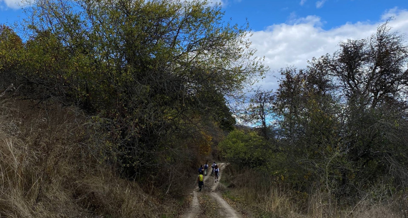 Курганцам рассказали, как защищают город от пожаров