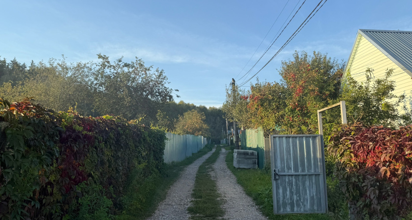 Жители Зауралья сами решают, в какие деревни проведут интернет