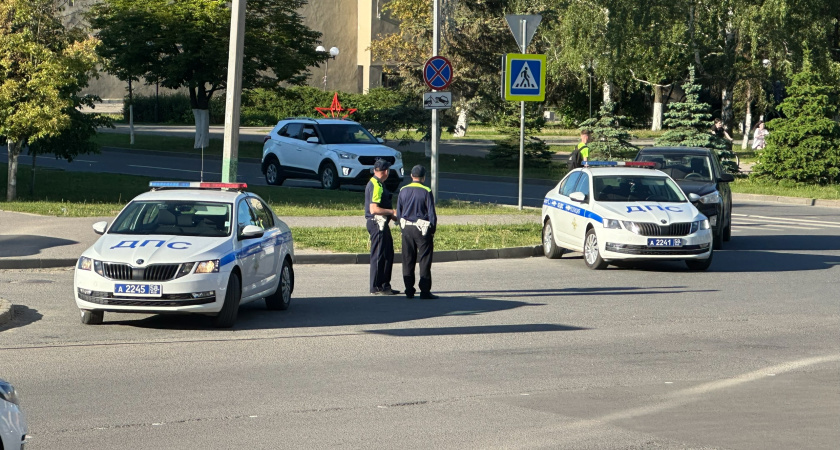 Курганская ГИБДД просит горожан сообщать о пьяных за рулем