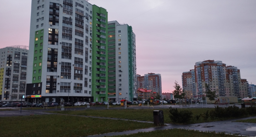 Курганский художник расписал бетонную стену