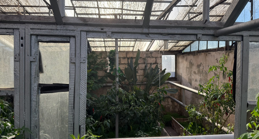 Делаю в октябре компостную яму по особой закладке: узнал про 3 ошибки - почему компостная куча не становится удобрением