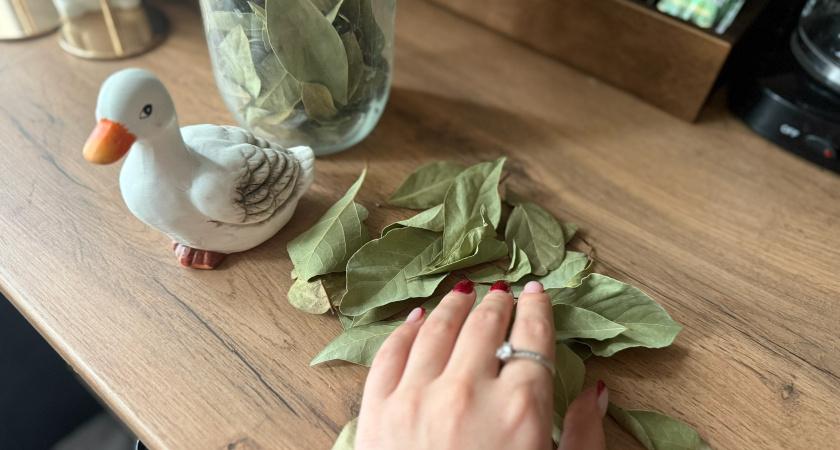 Зашла к соседке увидела, как та ходит и сжигает лавровые листочки: сначала испугалась, а теперь сама делаю так постоянно