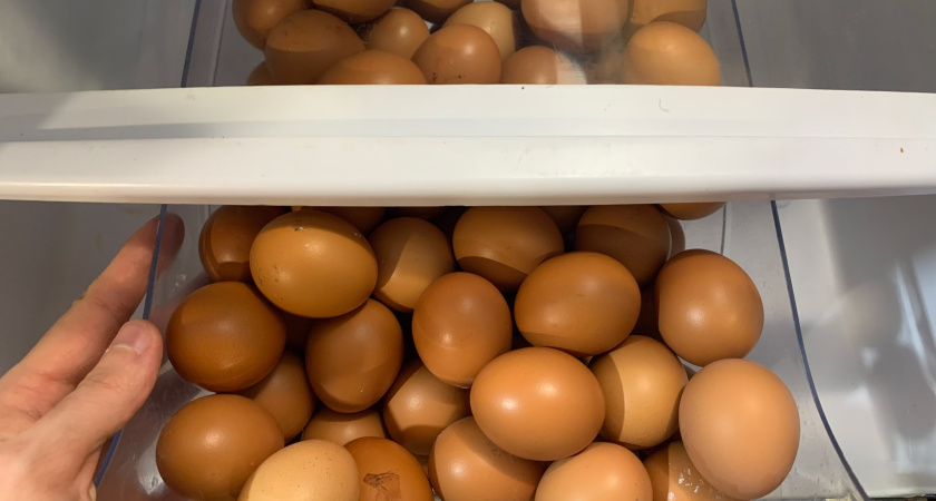 Больше не выбрасываю яичную скорлупу: засыпаю 100 г порошка на литр воды - всю зиму бед не знаю