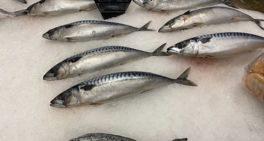 Больше не выбрасываю молоку в рыбе в отходы: узнал почему в Финляндии на них ажиотаж - теперь делаю в салаты и к гарниру