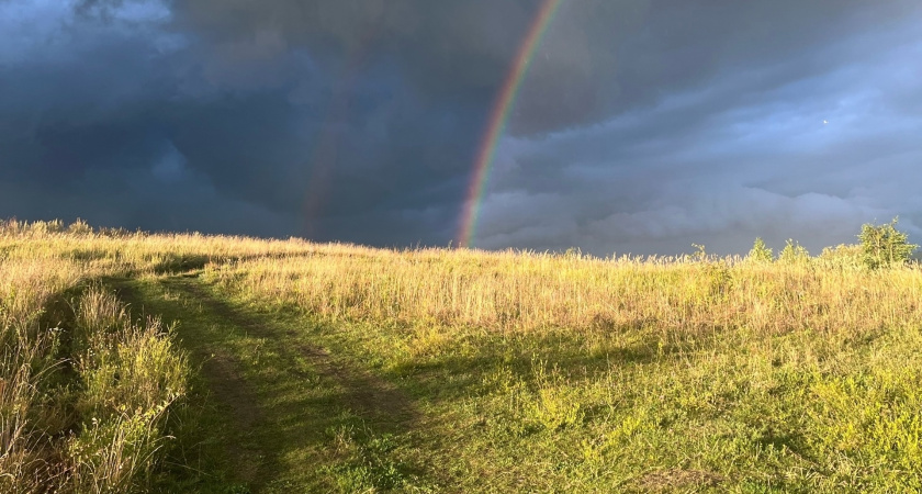 Курганские аграрии завершили уборочную кампанию