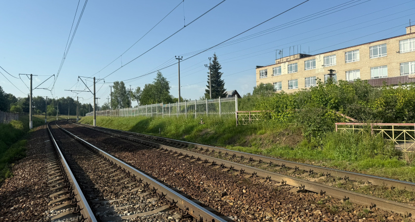 Лось погиб под поездом в Курганской области