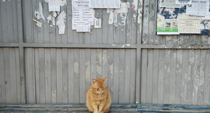 В Кургане наводят чистоту на остановках