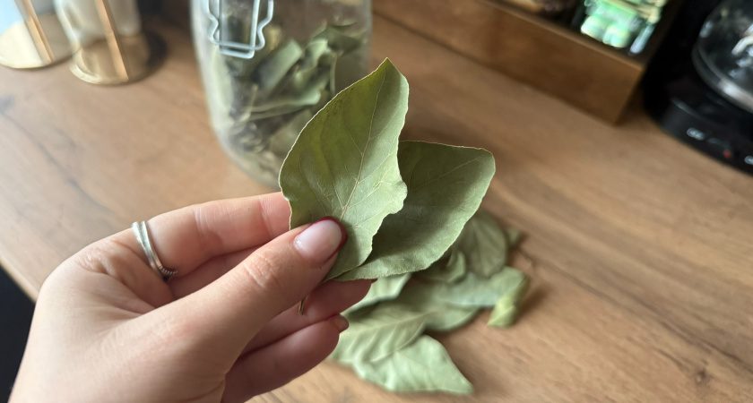 Закопайте лавровый лист в огороде осенью: весной вы обомлеете от результата - достаточно сделать лунки по 5 сантиметров