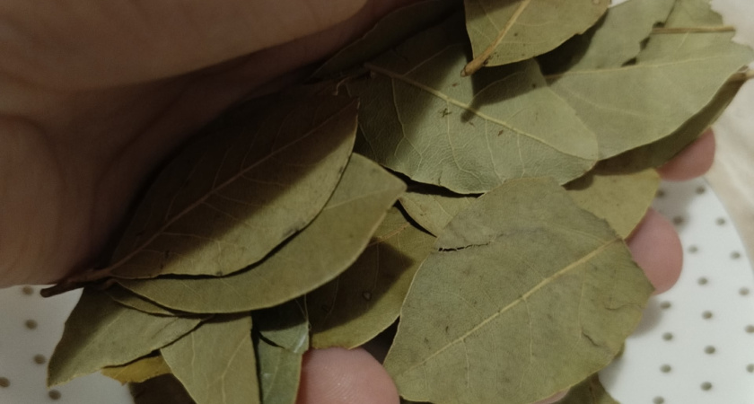 Положите лавровый лист в белье при стирке: этот трюк должна знать каждая хозяйка - одежда больше не будет выцветать