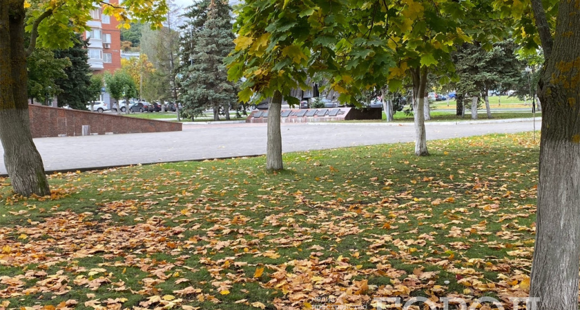 «Ночь искусств-2025» состоится в Кургане