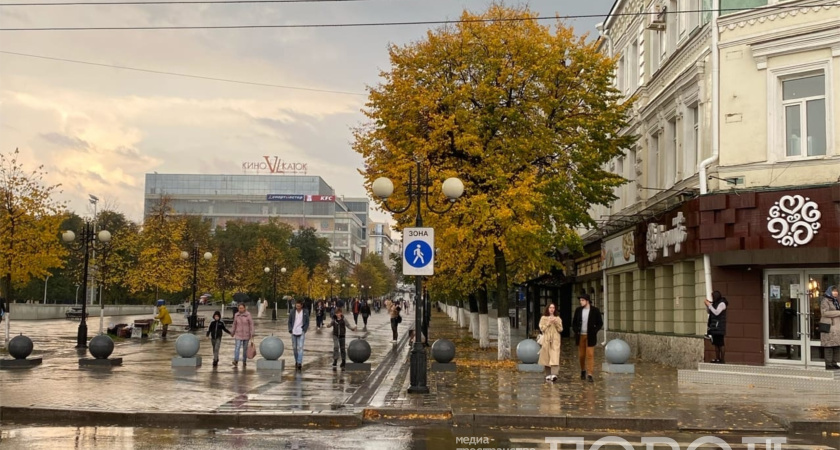 Курганцы стали в два раза реже жаловаться властям
