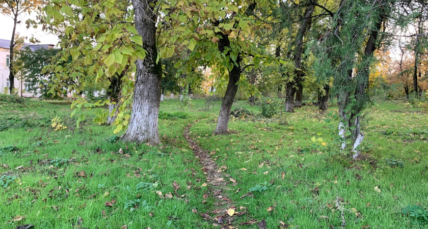 В Курганской области вандалы устроили погром на кладбище, повредив множество могил
