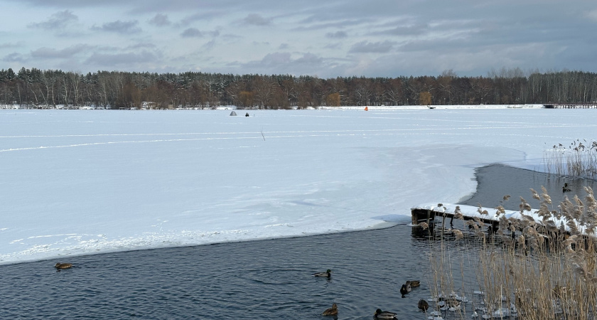В Кургане начали строить набережную озера Чёрное за 64 млн рублей