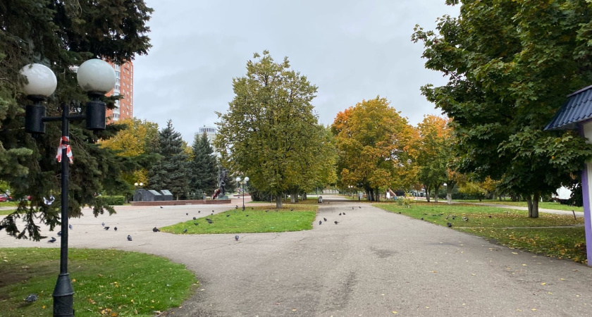 Студентка из Кургана Екатерина Бердникова создала один из лучших дизайнов плаката в Москве