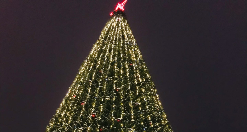 В Кургане на площади Ленина установят ёлку и зальют каток