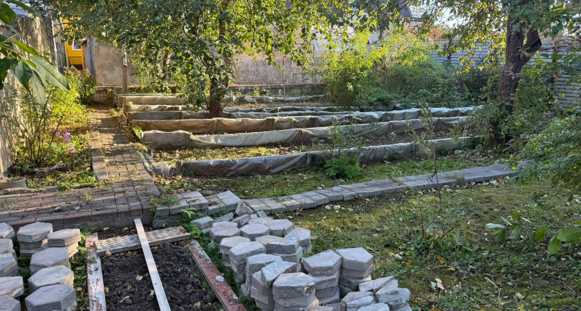 Запретил агроволокно на участке после 4 неудач: соседи до сих пор мучаются с вредной мульчей, а я весной собираю урожай тележками