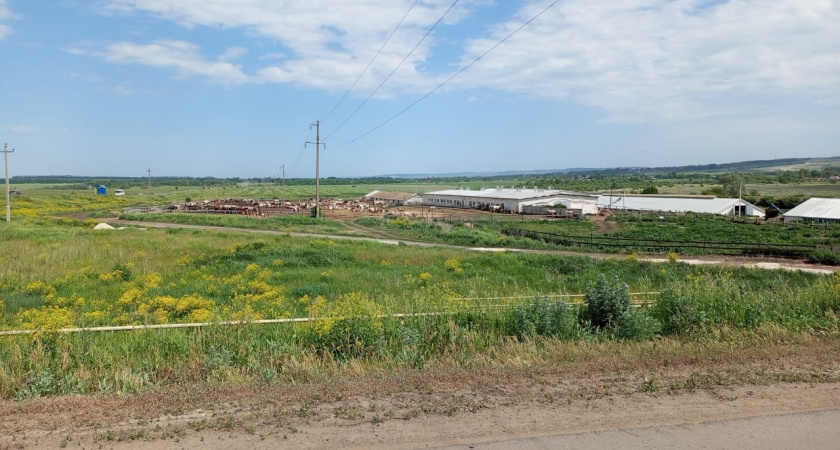 В Курганской области завершилась уборка зерновых и масличных культур