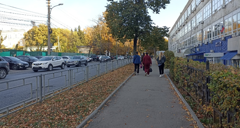 Шесть курганских проектов получат президентские гранты