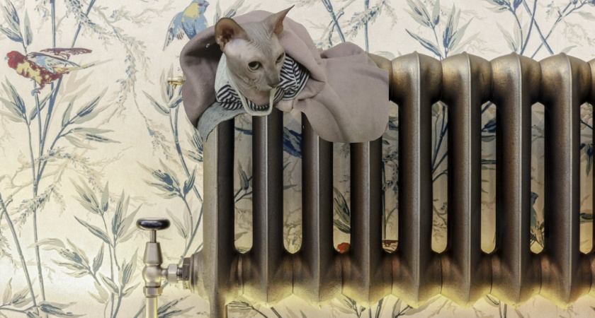 Курган получил паспорт готовности к отопительному сезону 2025-2026 годов