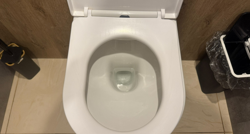 Ложку горчицы сыплю в унитаз: хитрость мудрой экономной хозяйки - горчица расщепляет жир и не только