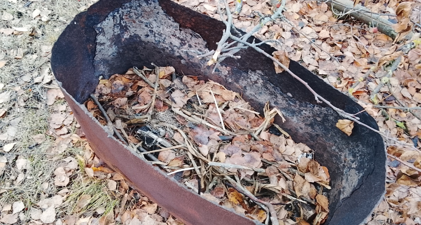 В ноябре вношу всего 1 удобрение на почву. Весной и летом можно не удобрять - пористая земля пышет плодородием