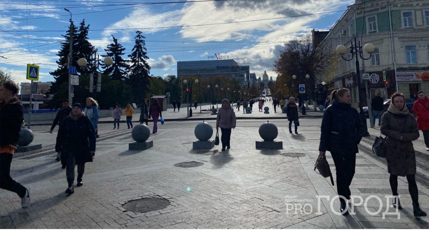 В Зауралье выбирают педагога, который получит 300 тысяч рублей и почётное звание