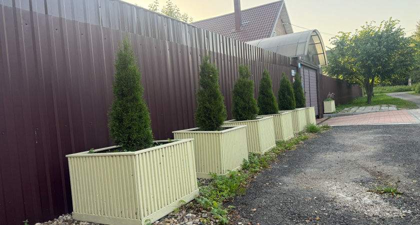 Оставьте идею с забором из профлиста: есть более красивый и надежный способ отгородиться от соседей и создать приватность