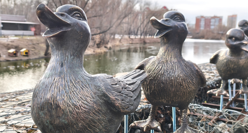 Новый памятник в ЦПКиО: "утиная семья" поселилась в центральном парке Кургана