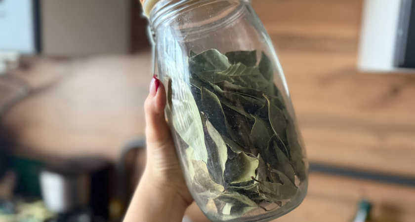 Закопайте лавровый лист в огороде в ноябре: весной вы обомлеете от результата - достаточно лишь сделать лунки по 5 сантиметров