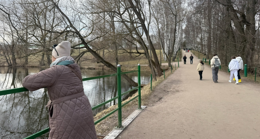 Курганская область заняла 59 место в рейтинге регионов по приверженности ЗОЖ